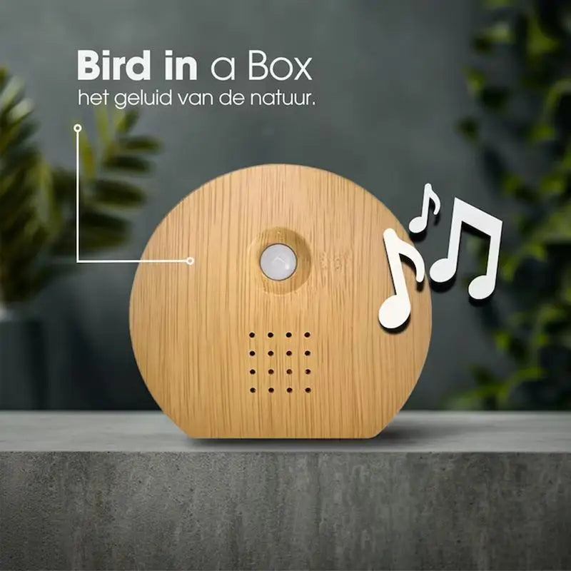 Square/Round Singing Bird Speaker Motion Sensor Modern Nature Sound Box Smart Natural Noise Maker Speaker Bird Chirping Soundbox